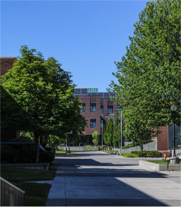 AI monitoring system for various public areas